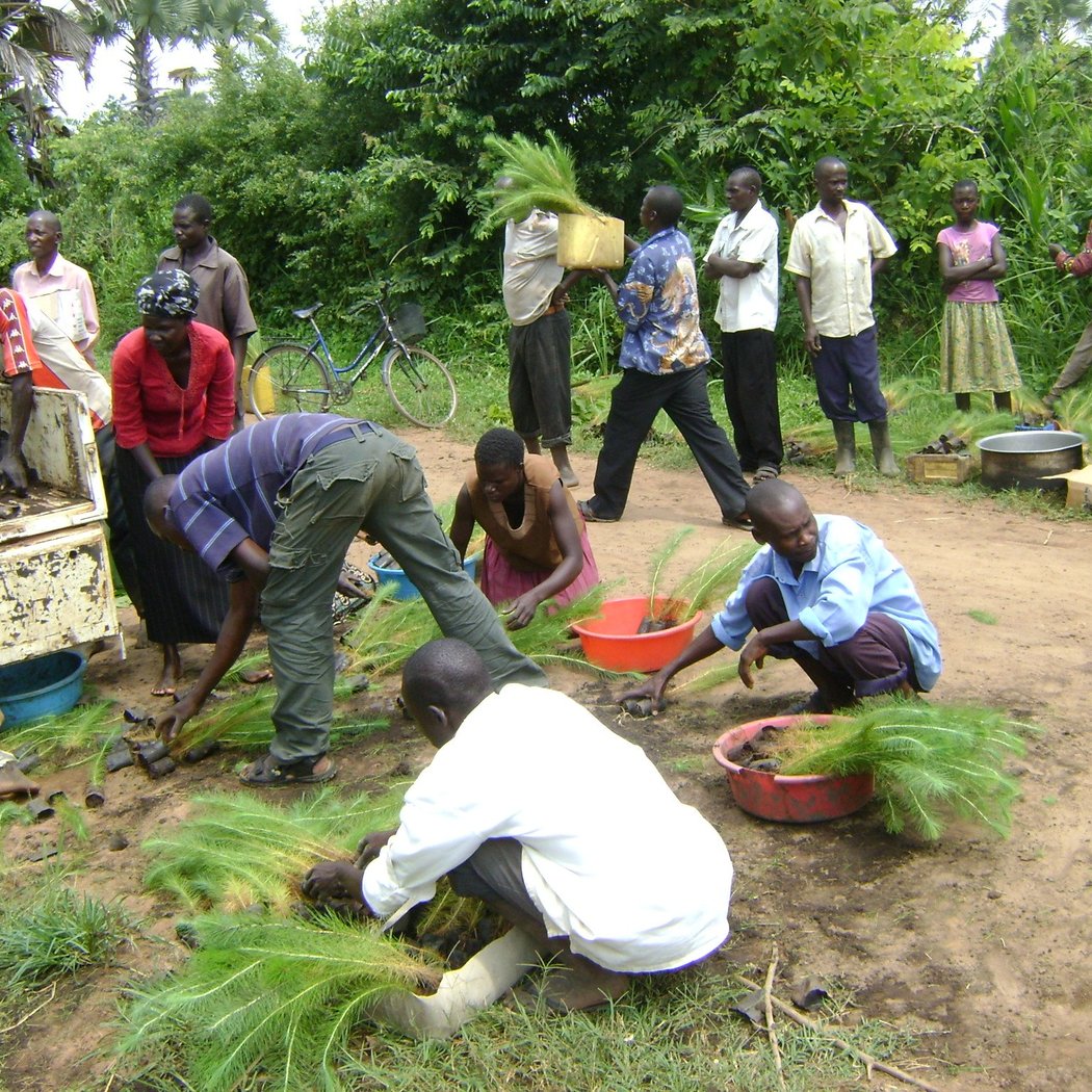 TreeMaster & TreeKeeper Classroom Training 3